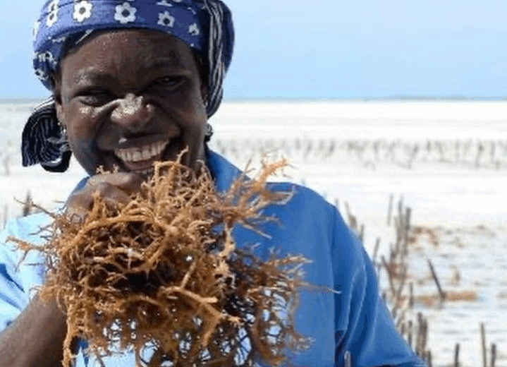 ZANZIBAR: Paje Village and Seaweed Center Tour with The Pickup.