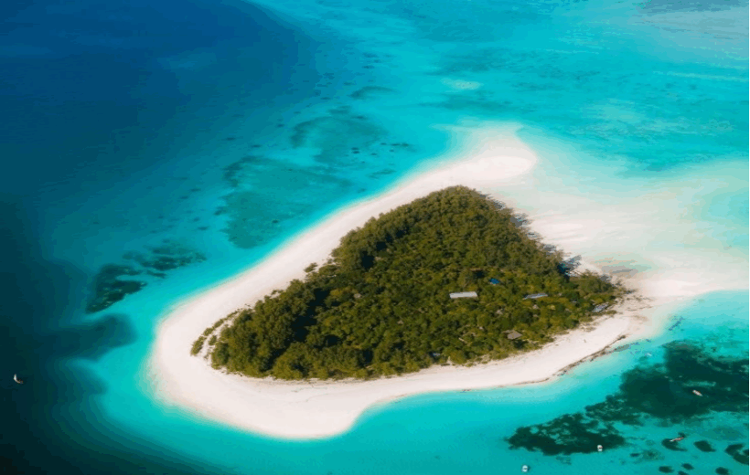 Zanzibar Mnemba Snorkeling Adventure.